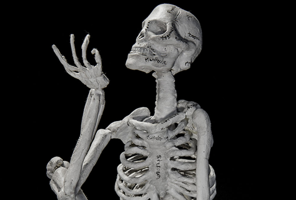 Squelette Homo sapiens