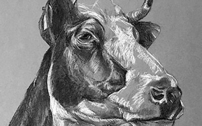La Vache…!