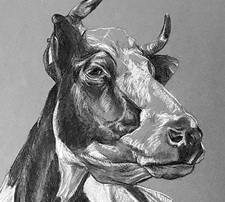 La Vache…!